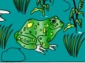 Игра Frog Coloring
