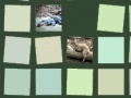 Игра Memory: Animals