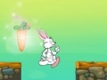 Игра Little Rabbit