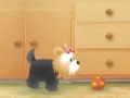 Игра Net Pet Adopt and Play