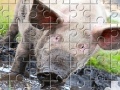 Игра Little Piggy Jigsaw