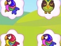 Игра Bright Birds Matching