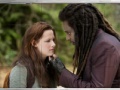 Ігра Swing and set the twilight saga new moon