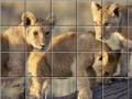 Ігра Swing and set african cats