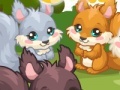 Ігра Squirrel Care