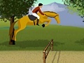 Игра The Chestnut Racing Horse