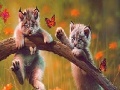 Ігра Cute naughty cats slide puzzle