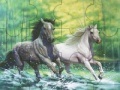 Ігра Fabulous running horses puzzle