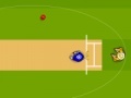 Игра Cricket World Cup 2011
