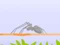 Игра Spider Fighting