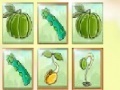 Игра Fruit Match