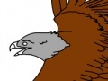 Игра Birds Coloring Book