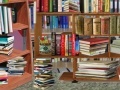 Игра Library Books