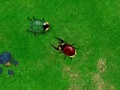 Игра Beetle Wars