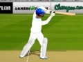 Ігра Turbo Cricket Pro