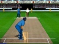 Игра Cricket Championship