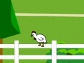 Игра Chicken Impossible