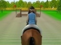 Игра Horse Jumping 2