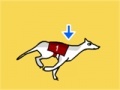 Игра Greyhound Racer DX
