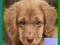Игра Blue eyed dog slide puzzle