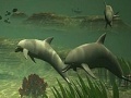 Ігра Big dolphins slide puzzle