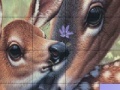 Ігра Deers and Lovely Day Slide Puzzle