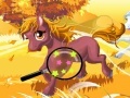 Игра Horses hidden numbers
