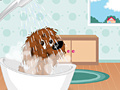 Игра Puppy Perfect Makeover