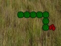 Игра Snake