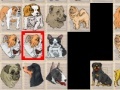 Игра Dog Mahjong