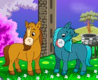 Pony 4