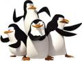 Игры пингвины Мадагаскара