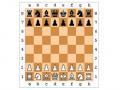 Ігри шахи. Грати в шахи онлайн без реєстрації