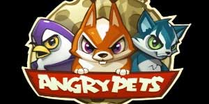 Angry Pets